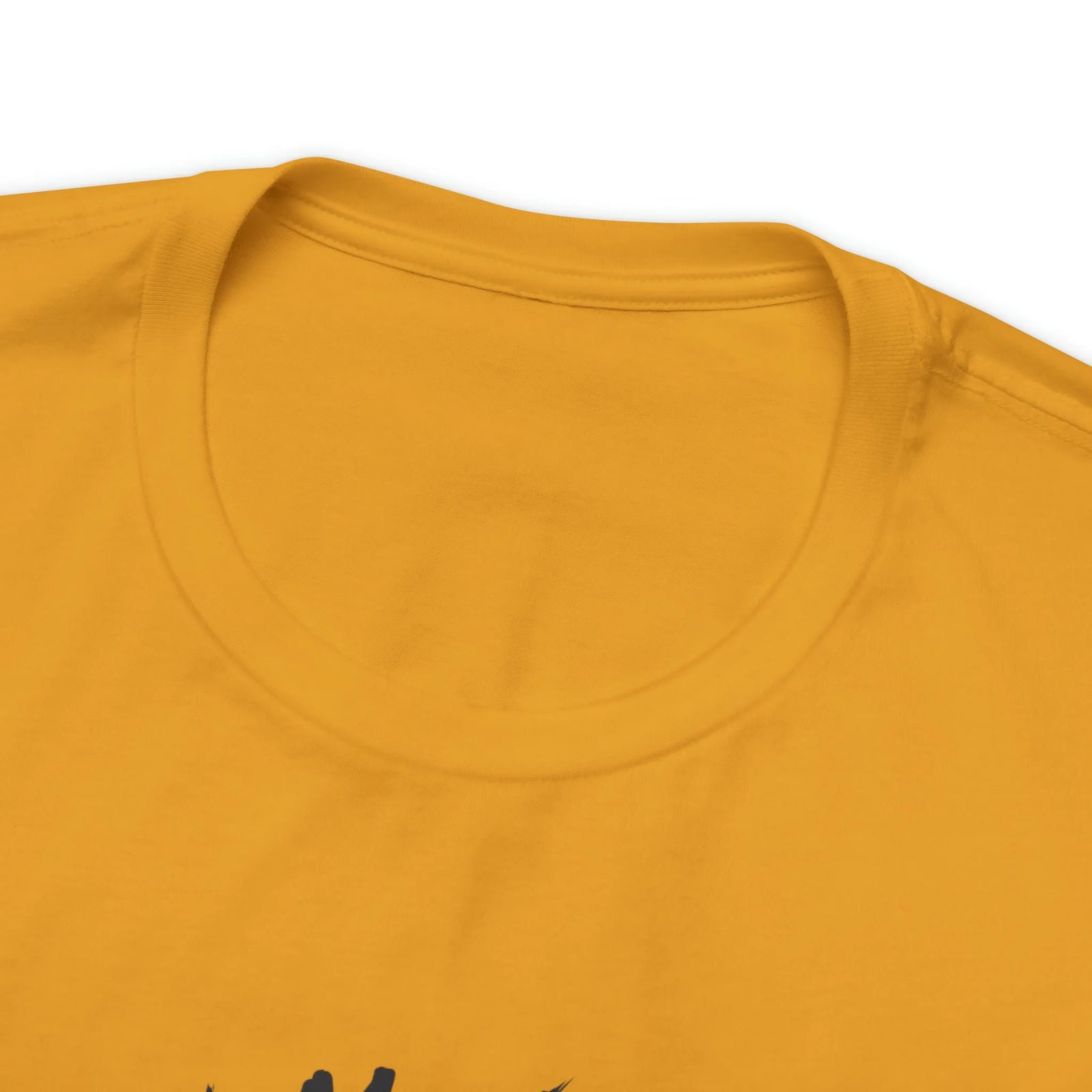 All Human Laws Are Trash Raccoon T-Shirt
