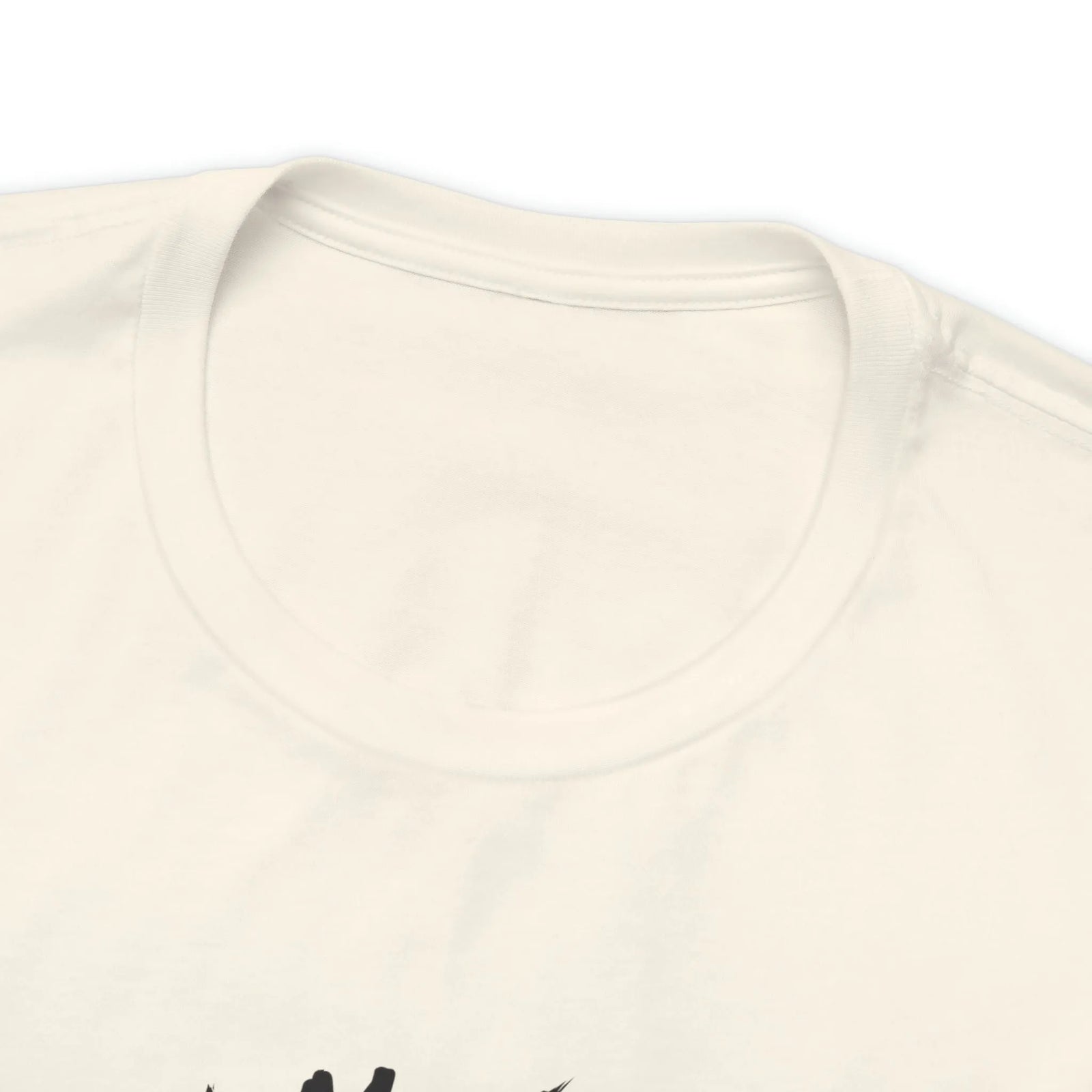 All Human Laws Are Trash Raccoon T-Shirt