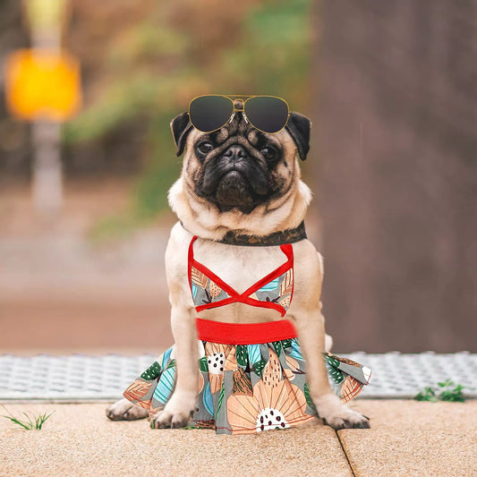 Top 10 Hottest Libertarian Pets