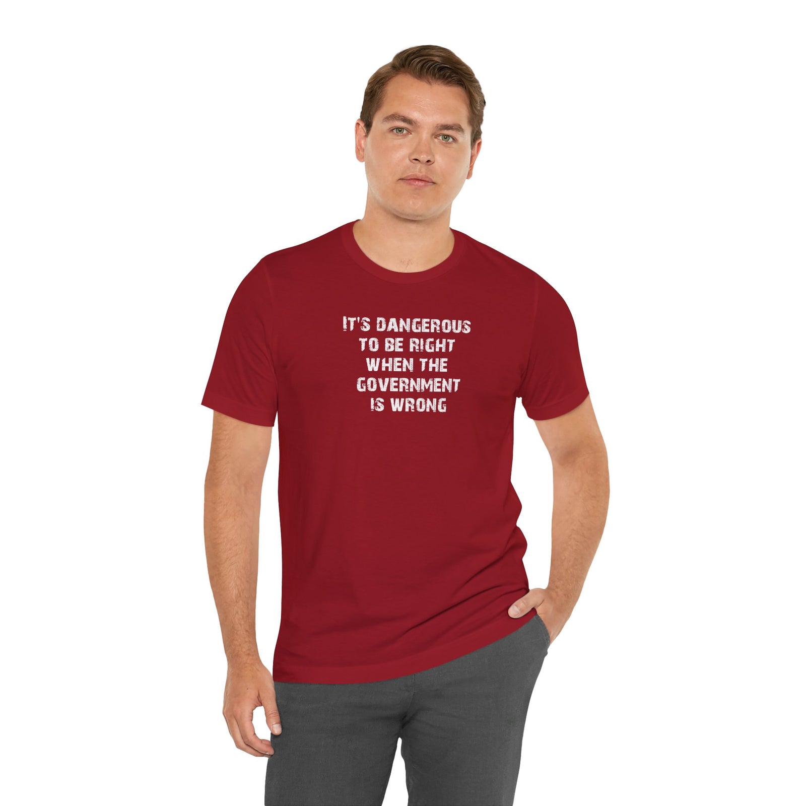 Judge Nap: It's Dangerous to be Right T-Shirt