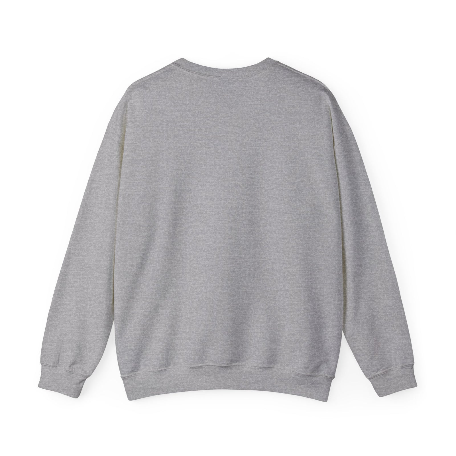 Crewneck Sweatshirt — 