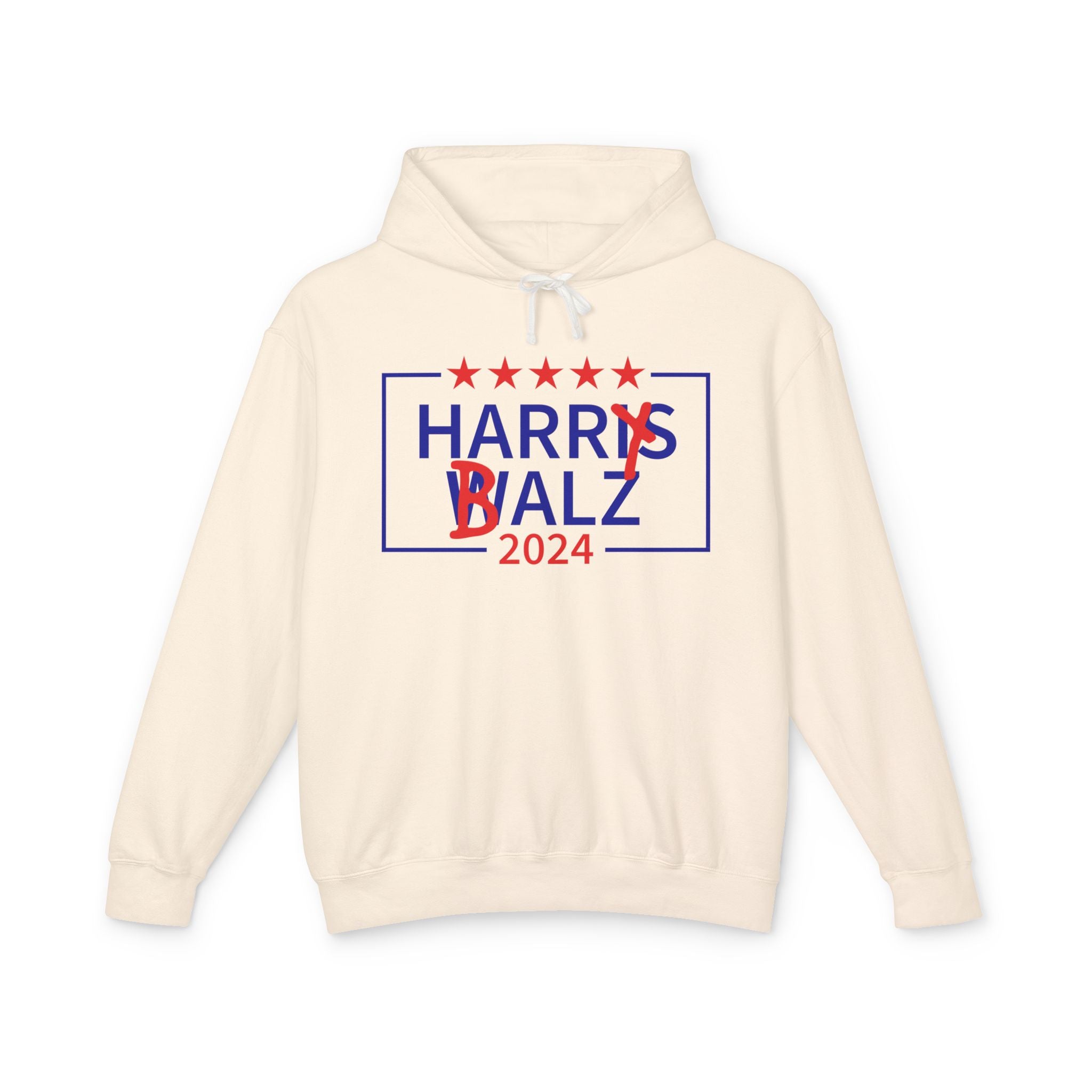 Harry Balz 2024 Hoodie