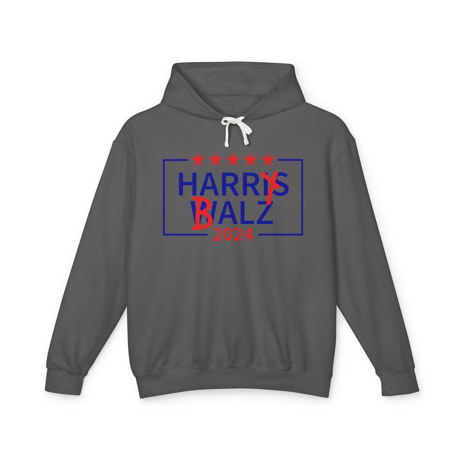 Harry Balz 2024 Hoodie