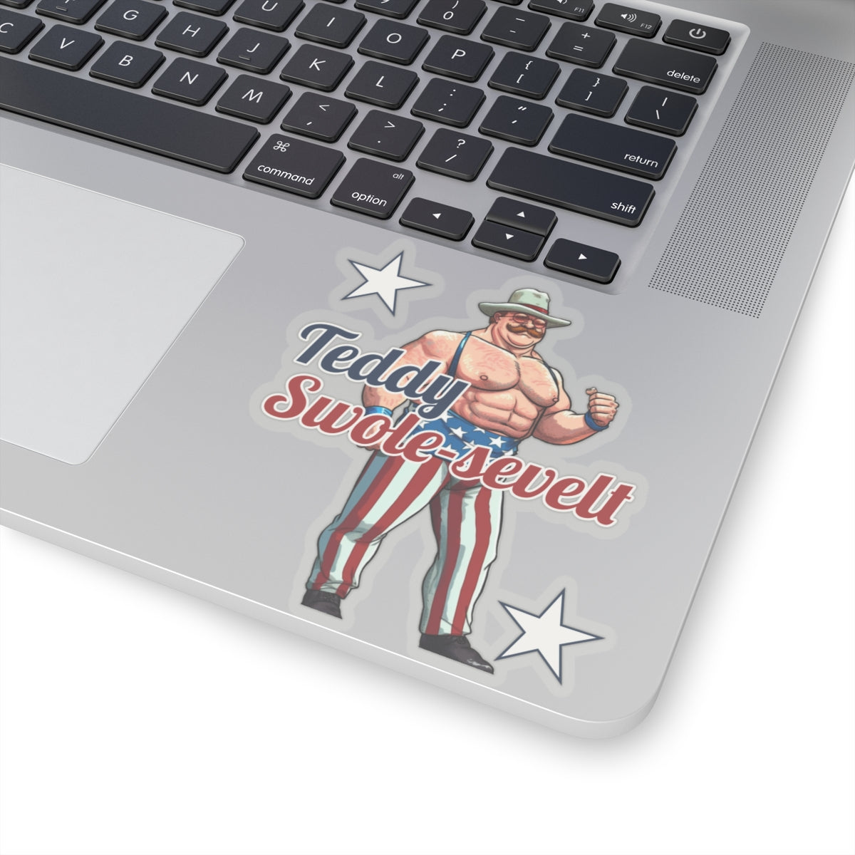 Teddy Swole-sevelt Stickers