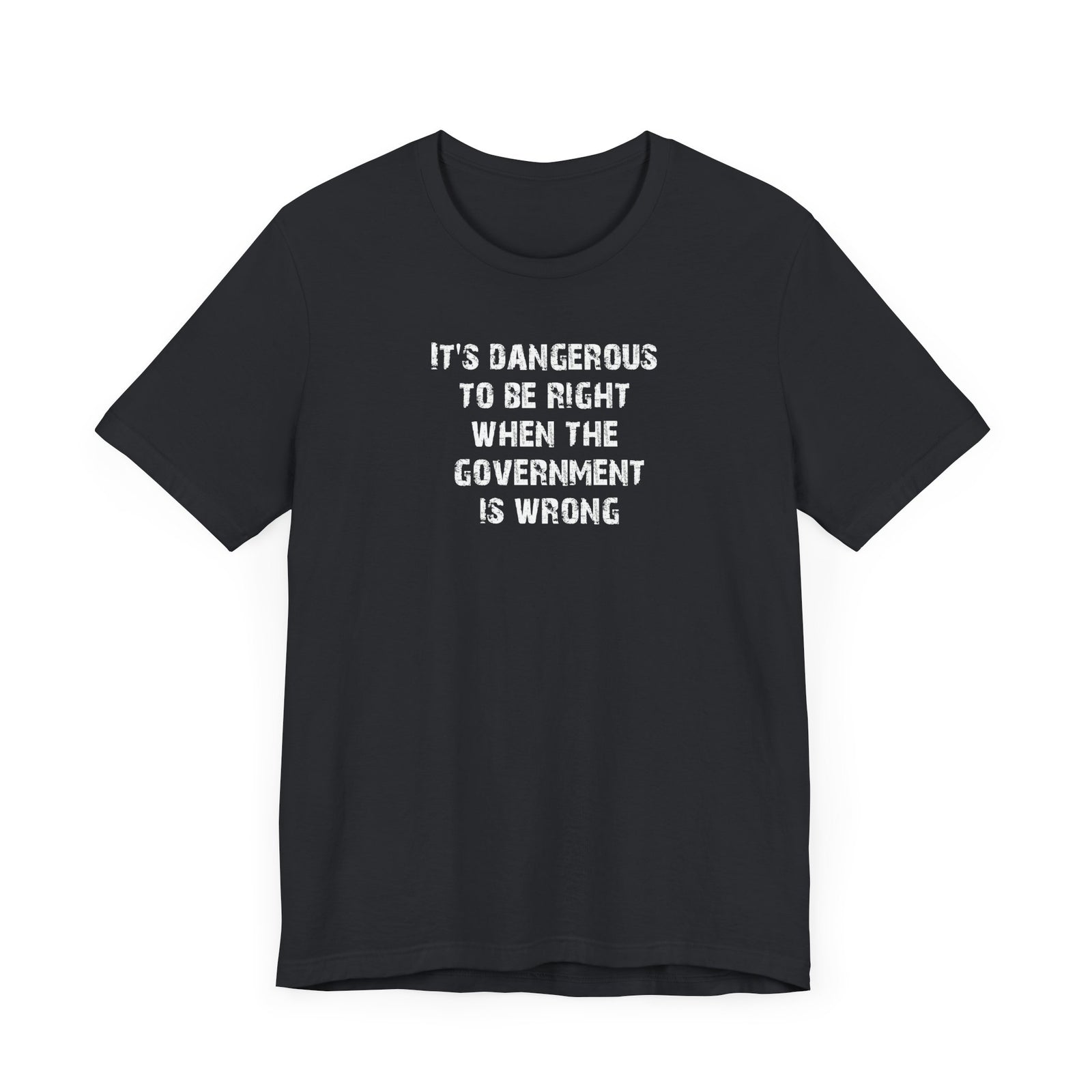 Judge Nap: It's Dangerous to be Right T-Shirt