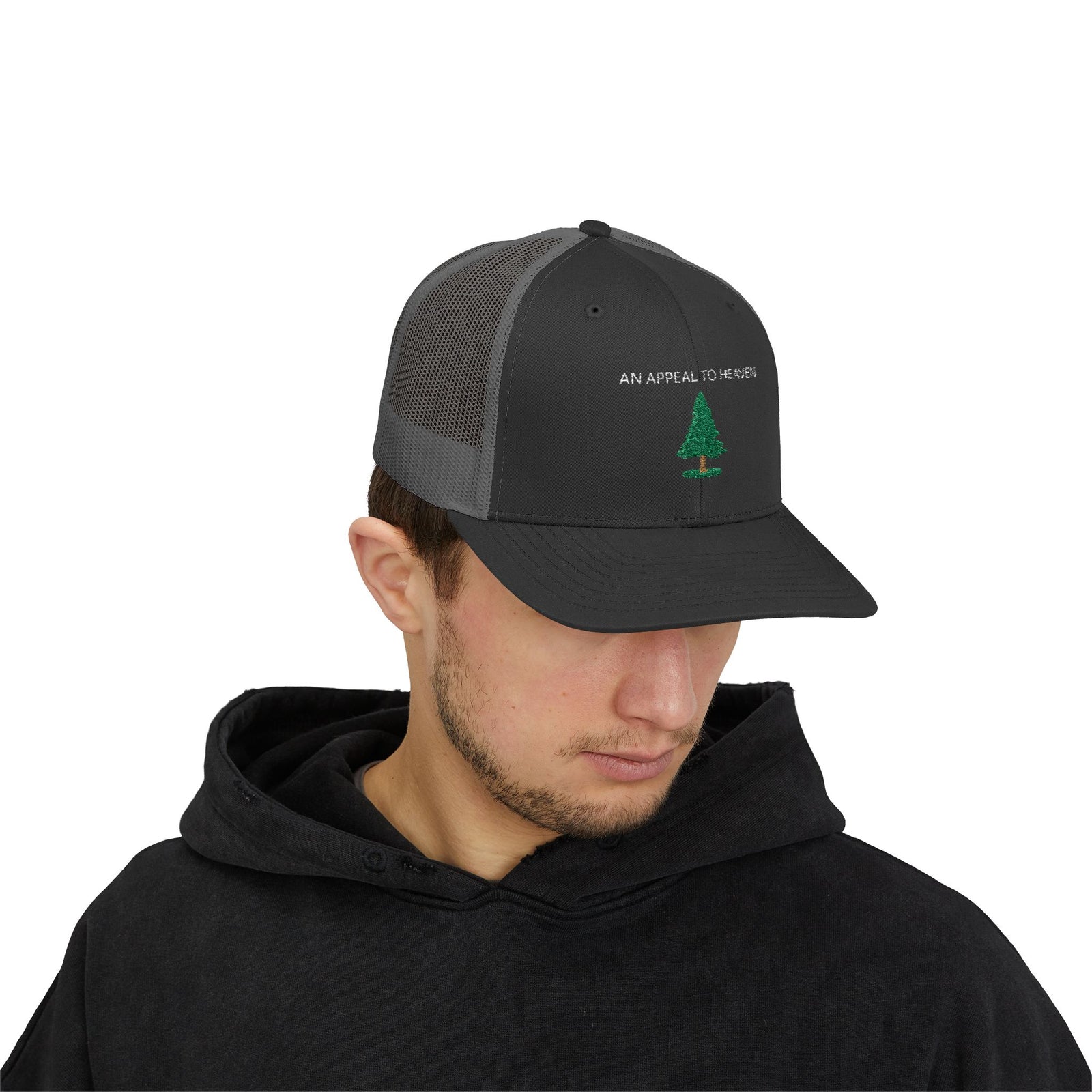 An Appeal To Heaven Embroidered Hat