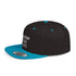 Freedom Never Sleeps - Flat Bill Snapback