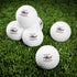 Walton & Johnson: Gulf of America Hammerhead Shark Golf Balls - 4LibertyShop.com