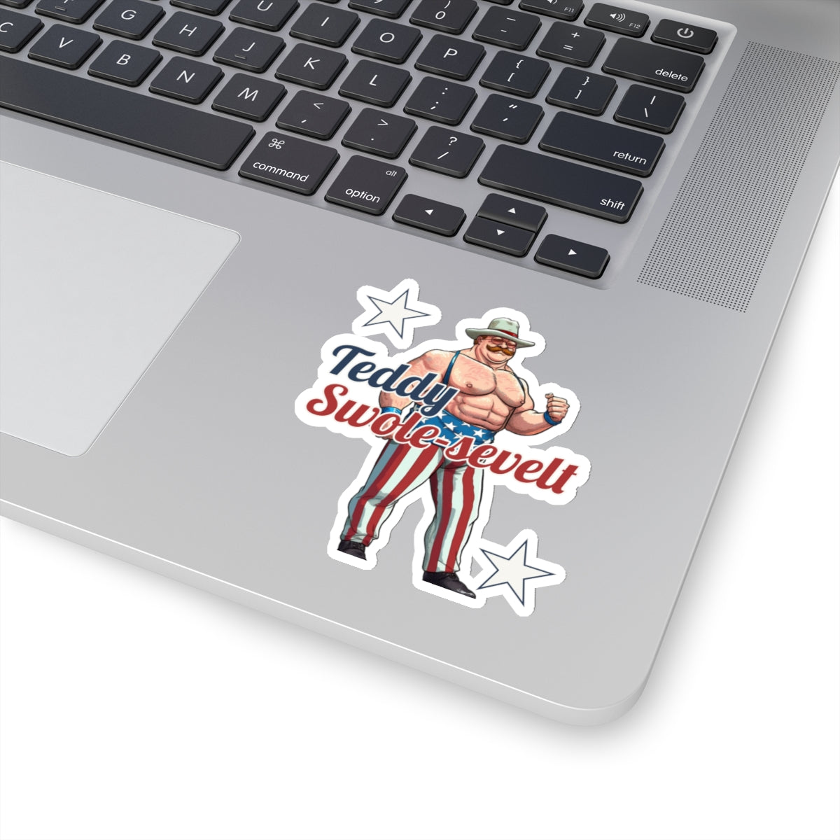 Teddy Swole-sevelt Stickers