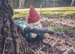Guardian of the Garden Gnome