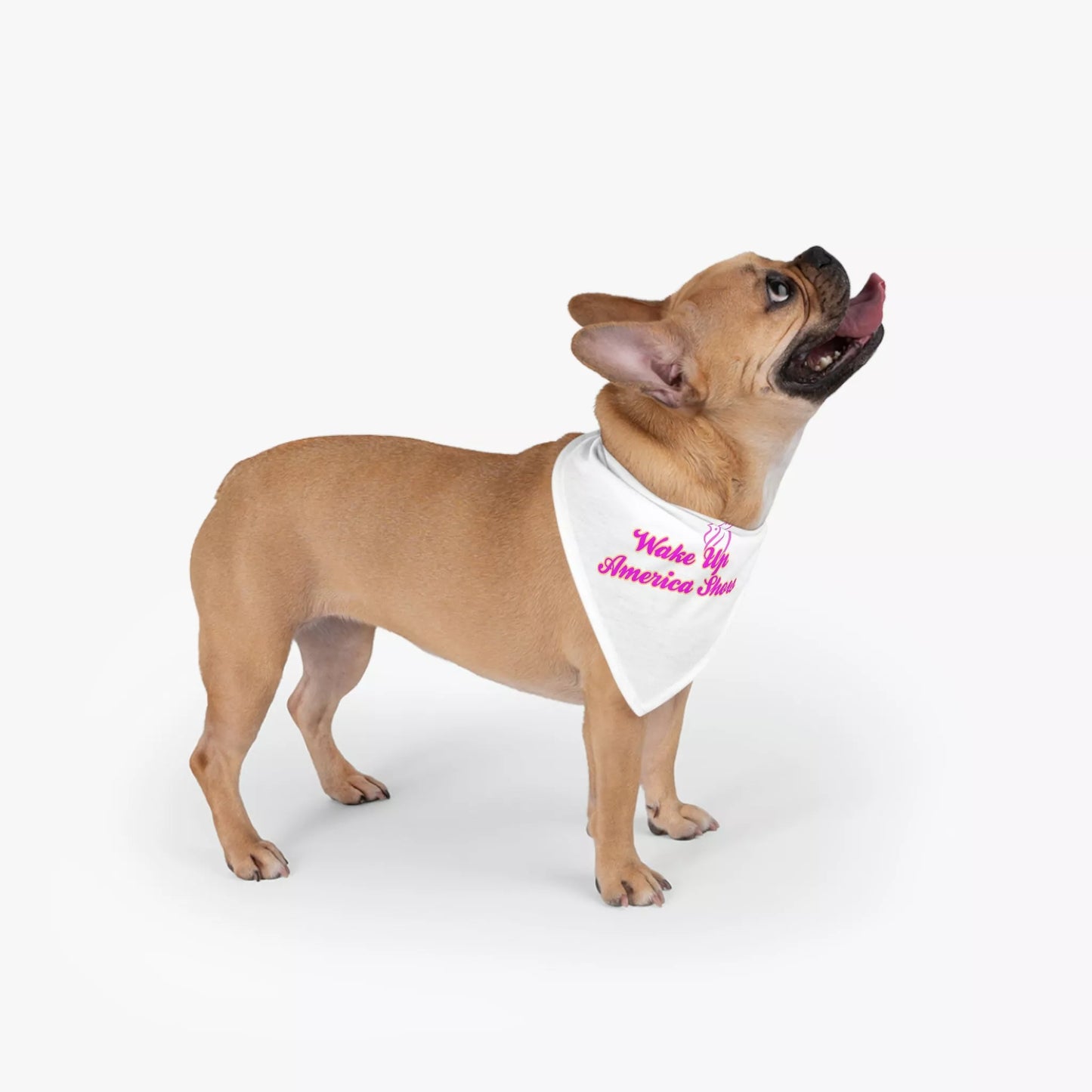Wake Up America Show Pet Bandana